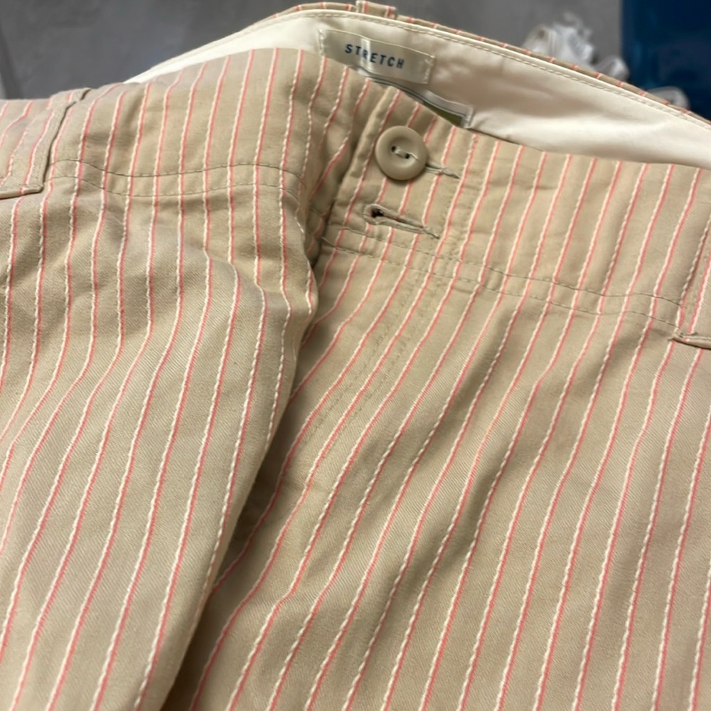 Striped Tan Pants